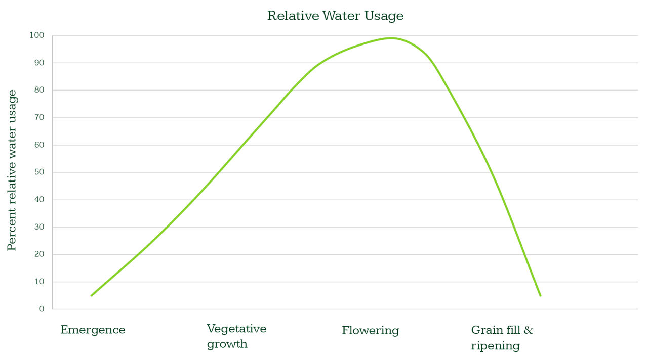 Relative water use per crop growth stage